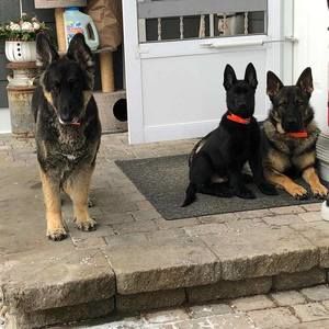 Meet your Posher, Lorrayne